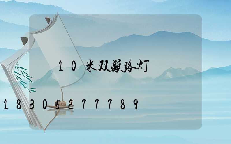 10米双头路灯