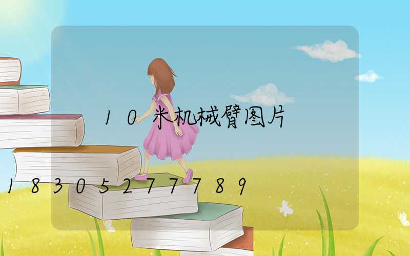 10米机械臂图片