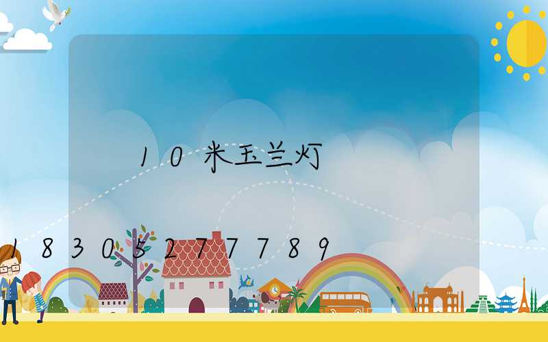 10米玉兰灯