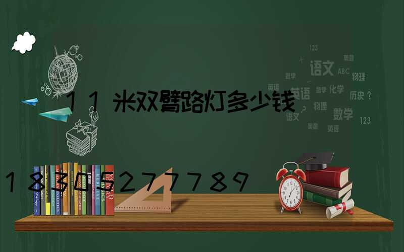 11米双臂路灯多少钱