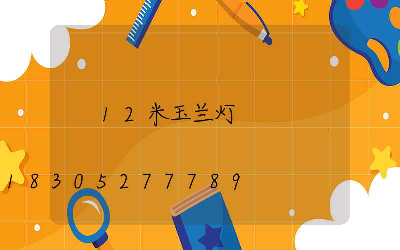 12米玉兰灯