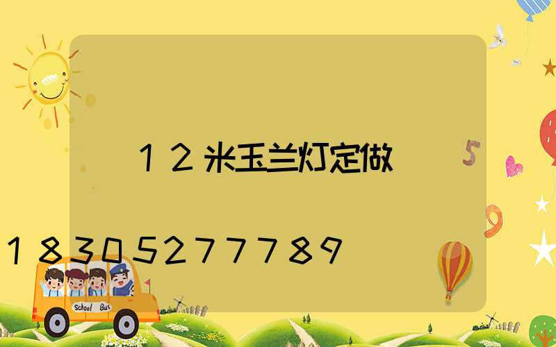 12米玉兰灯定做