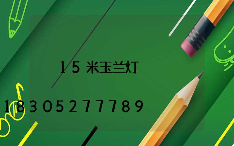 15米玉兰灯