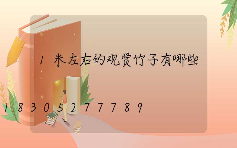 1米左右的观赏竹子有哪些