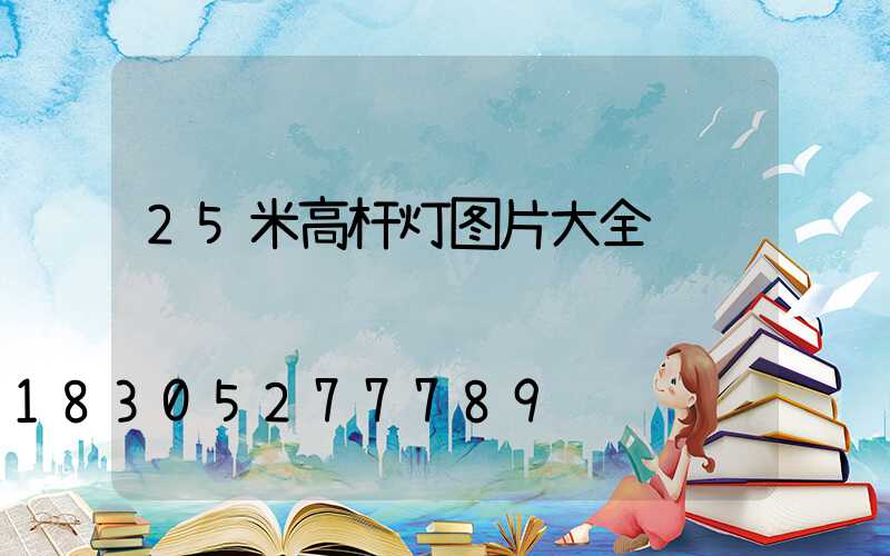 25米高杆灯图片大全