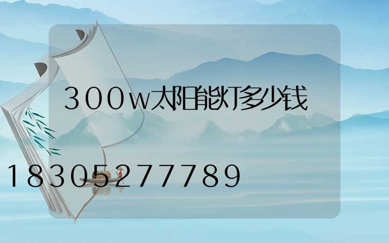 300w太阳能灯多少钱