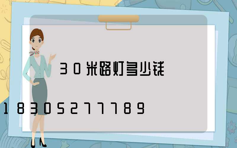 30米路灯多少钱
