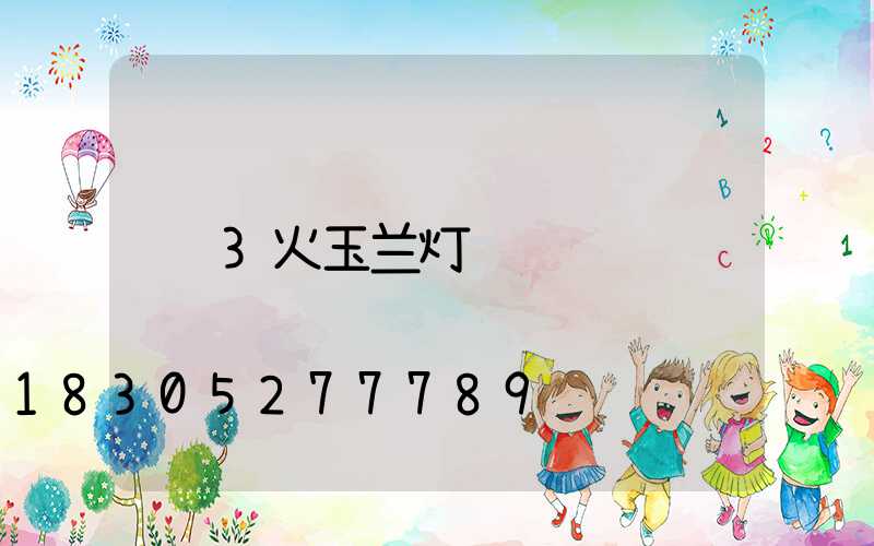 3火玉兰灯