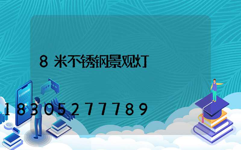 8米不锈钢景观灯