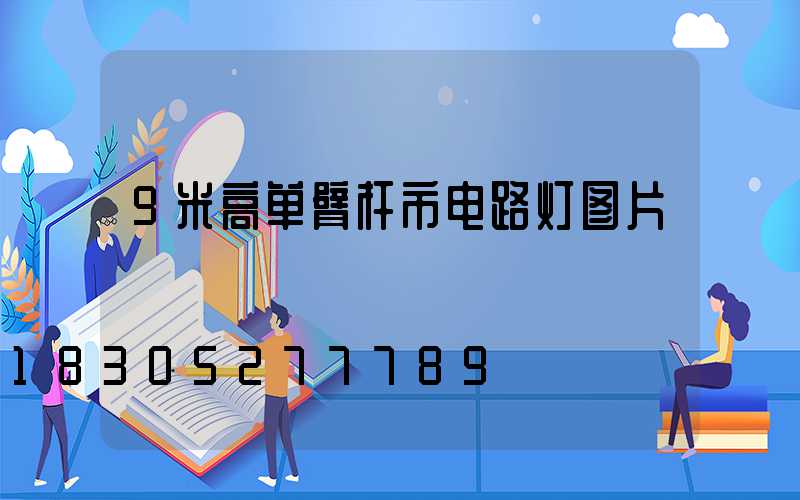 9米高单臂杆市电路灯图片