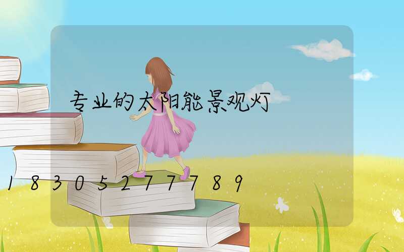 专业的太阳能景观灯