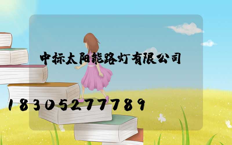 中标太阳能路灯有限公司