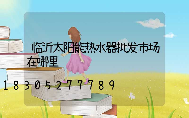 临沂太阳能热水器批发市场在哪里