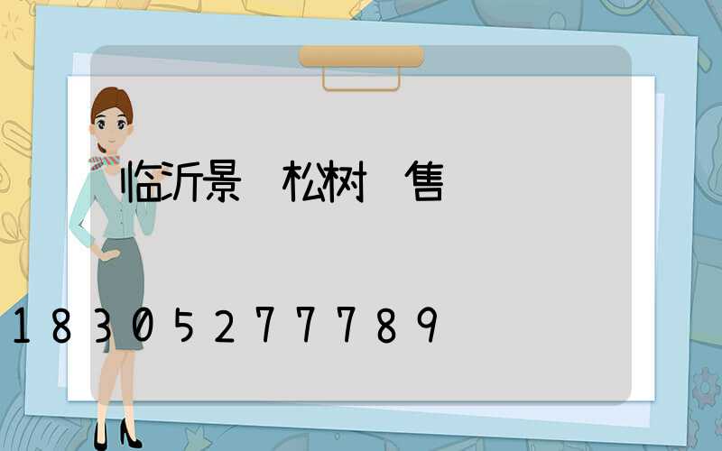 临沂景观松树销售