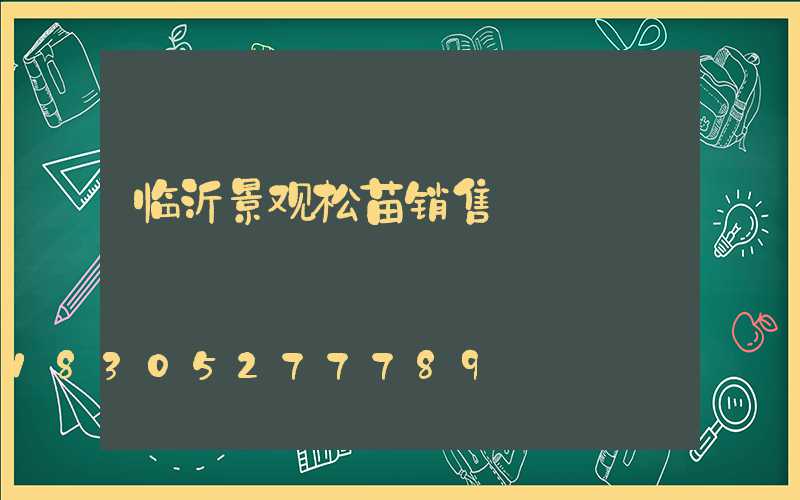 临沂景观松苗销售