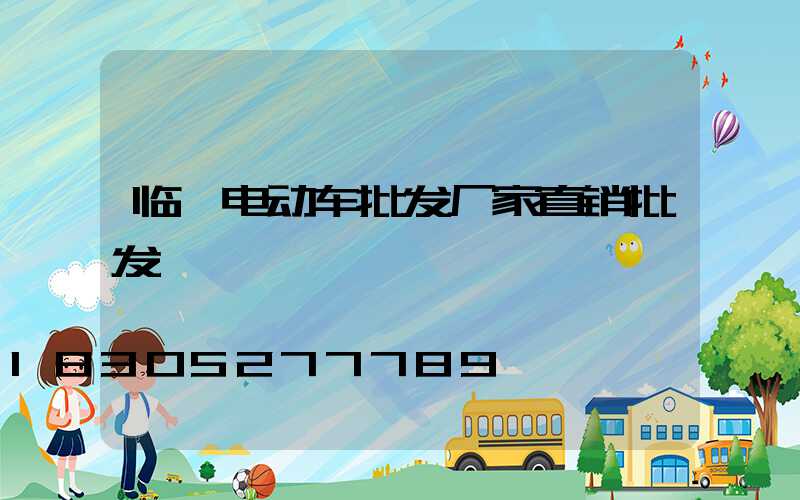 临沂电动车批发厂家直销批发