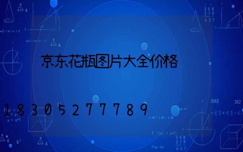 京东花瓶图片大全价格