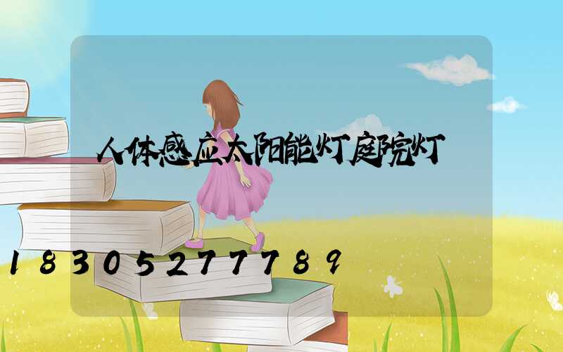 人体感应太阳能灯庭院灯