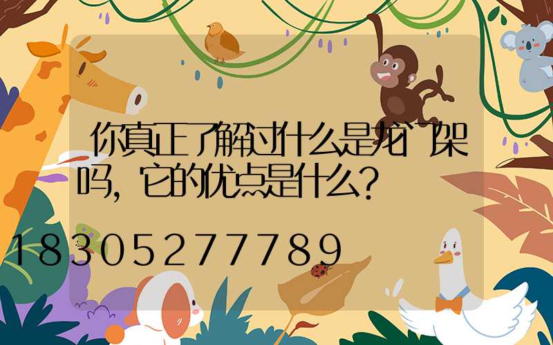 你真正了解过什么是龙门架吗，它的优点是什么？