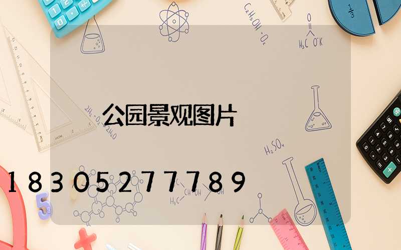 公园景观图片