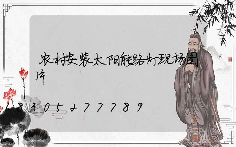 农村安装太阳能路灯现场图片