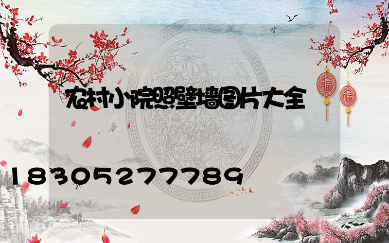 农村小院照壁墙图片大全