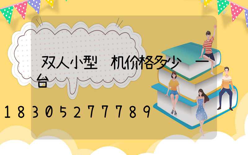 双人小型飞机价格多少钱一台