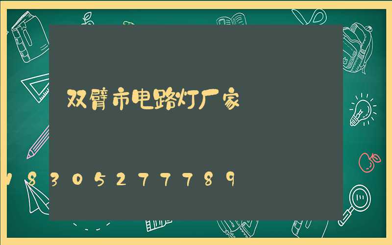 双臂市电路灯厂家