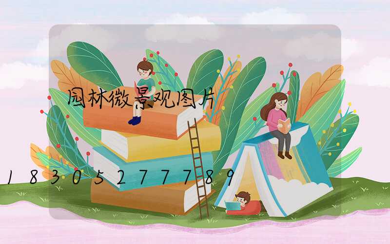 园林微景观图片
