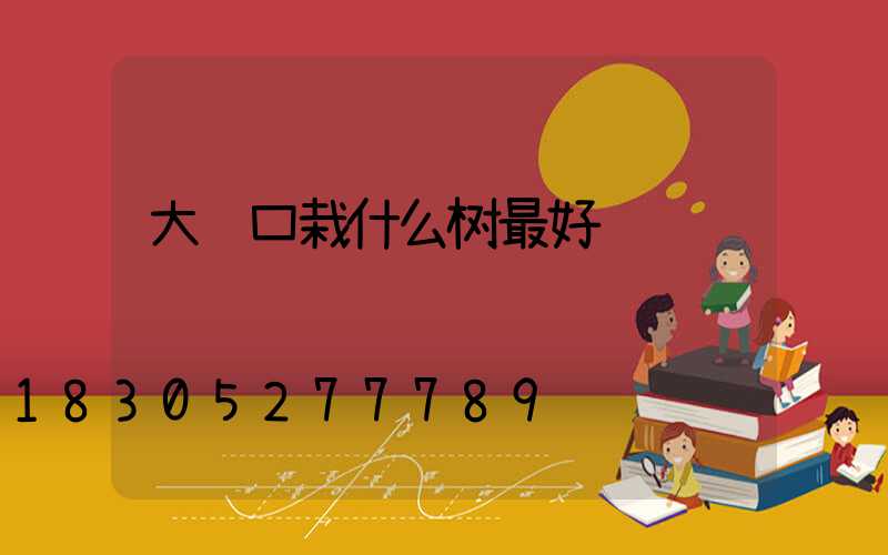 大门口栽什么树最好