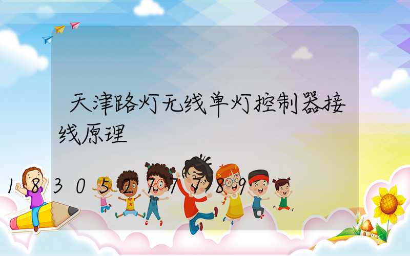 天津路灯无线单灯控制器接线原理
