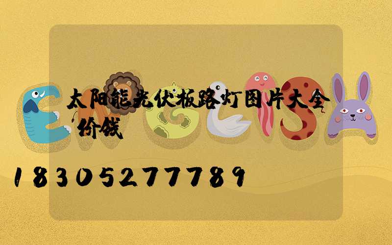 太阳能光伏板路灯图片大全及价钱