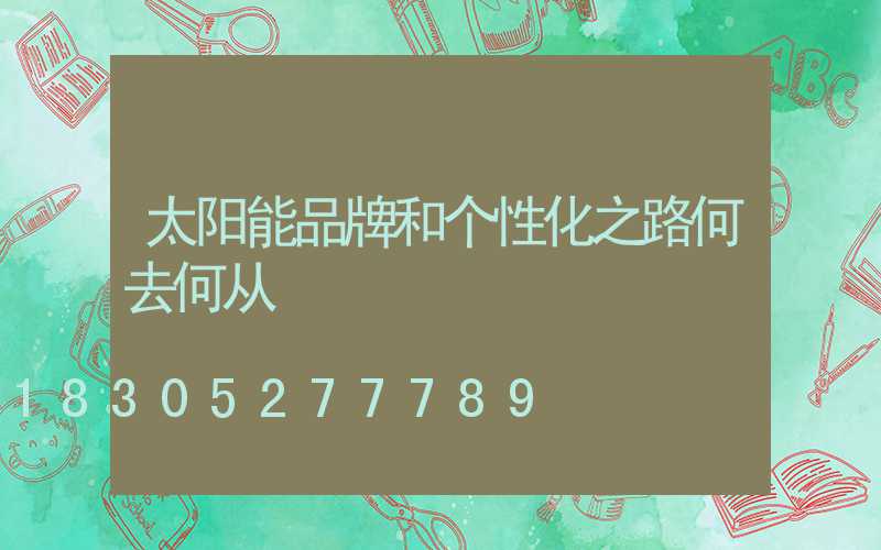 太阳能品牌和个性化之路何去何从