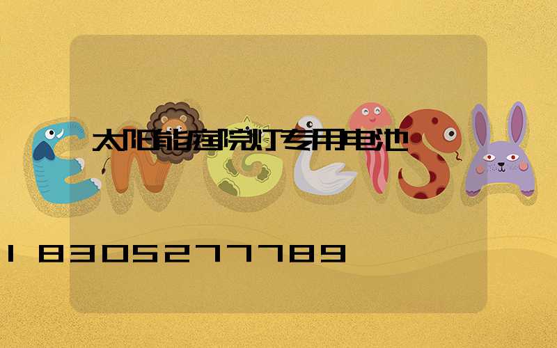 太阳能庭院灯专用电池