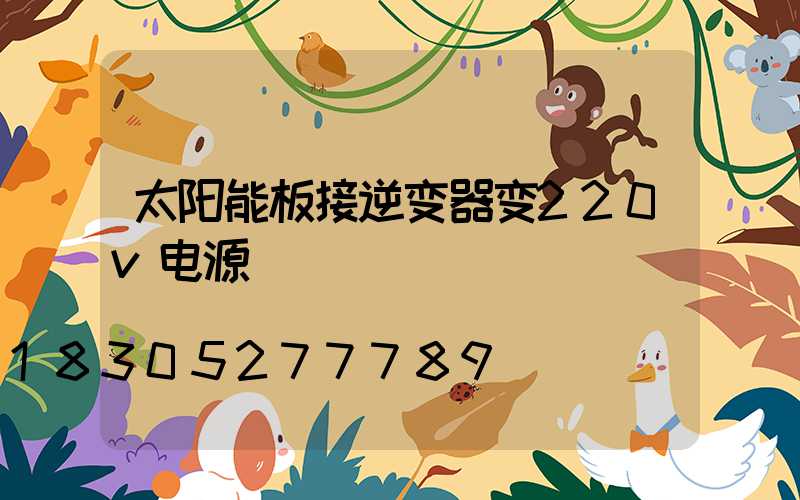 太阳能板接逆变器变220v电源