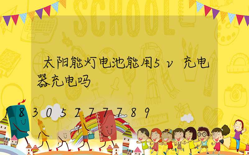 太阳能灯电池能用5v充电器充电吗