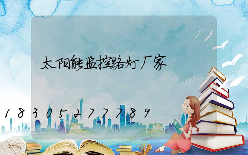 太阳能监控路灯厂家