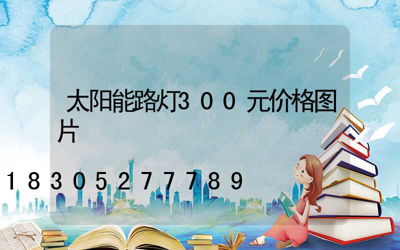 太阳能路灯300元价格图片