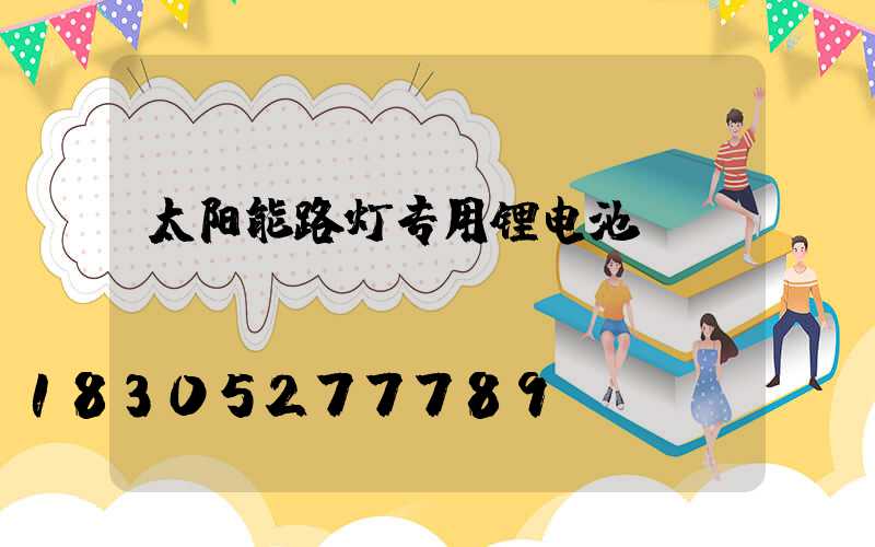 太阳能路灯专用锂电池