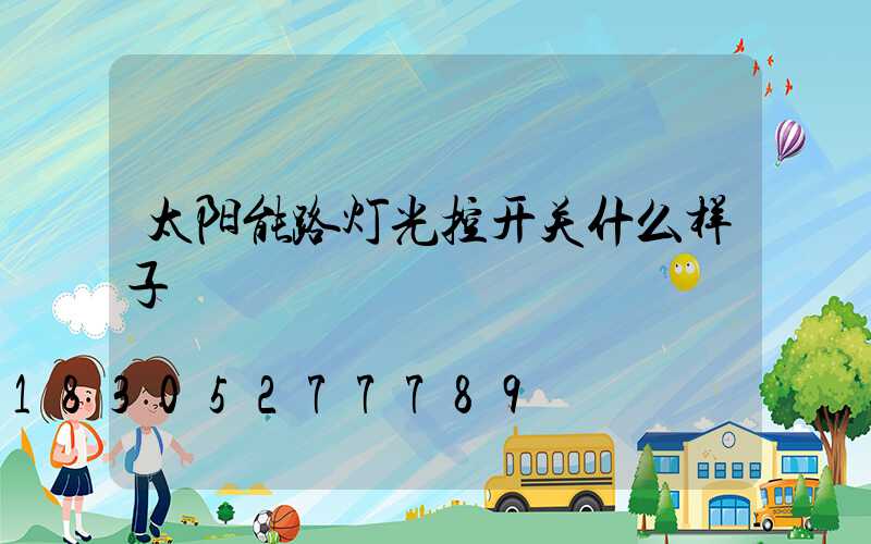 太阳能路灯光控开关什么样子