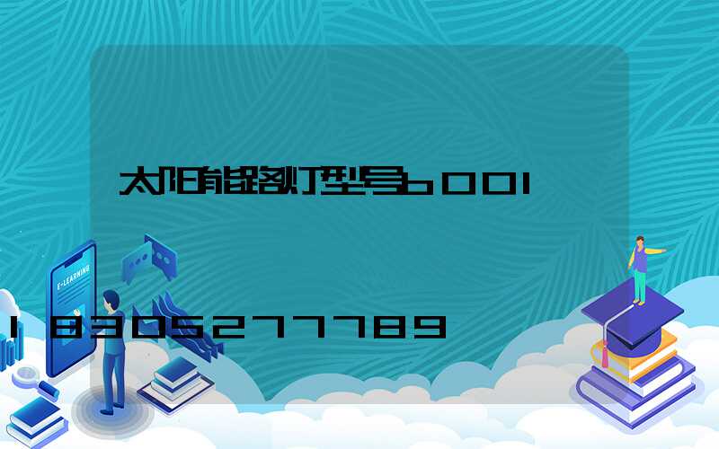太阳能路灯型号b001