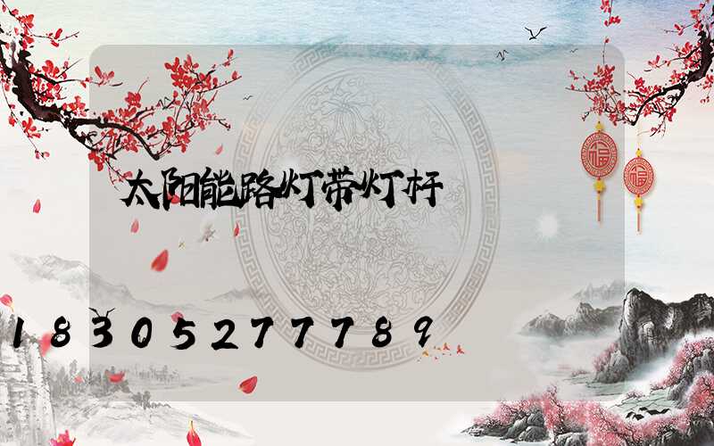 太阳能路灯带灯杆