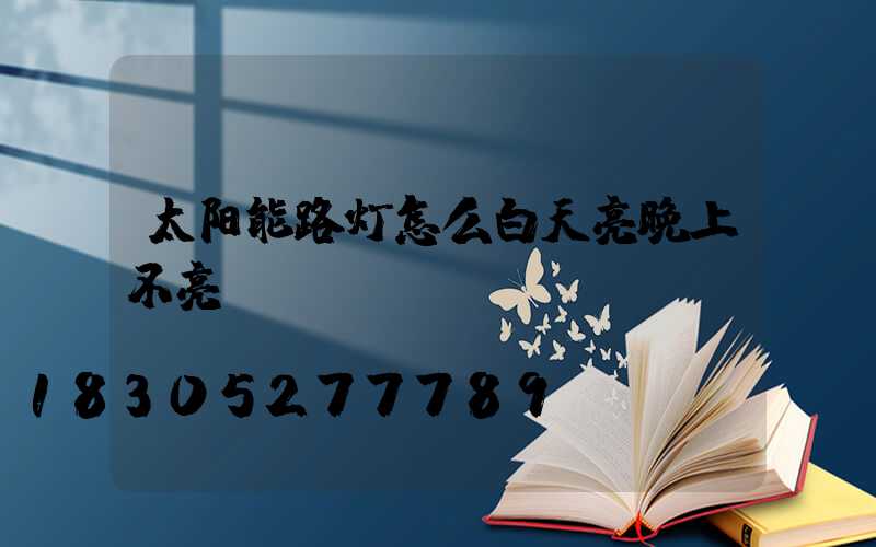 太阳能路灯怎么白天亮晚上不亮