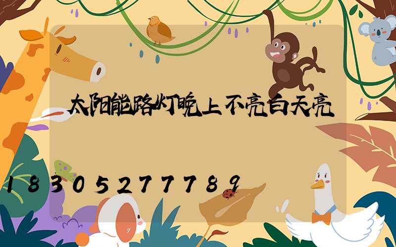 太阳能路灯晚上不亮白天亮