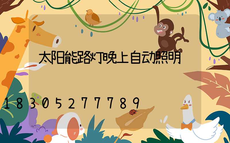 太阳能路灯晚上自动照明