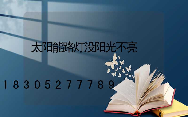 太阳能路灯没阳光不亮