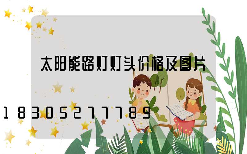 太阳能路灯灯头价格及图片