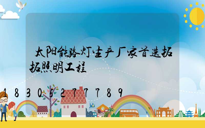 太阳能路灯生产厂家首选拓拓照明工程