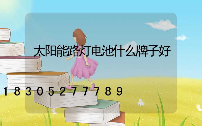 太阳能路灯电池什么牌子好
