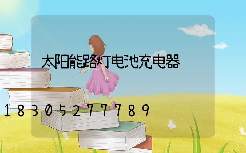 太阳能路灯电池充电器